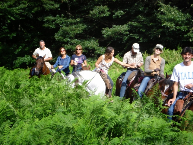  和我们一起冒险 