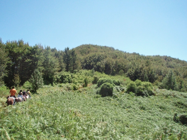  大自然在等你，你决定加入我们的徒步旅行 