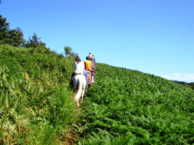 我们出色的导游在等着您 