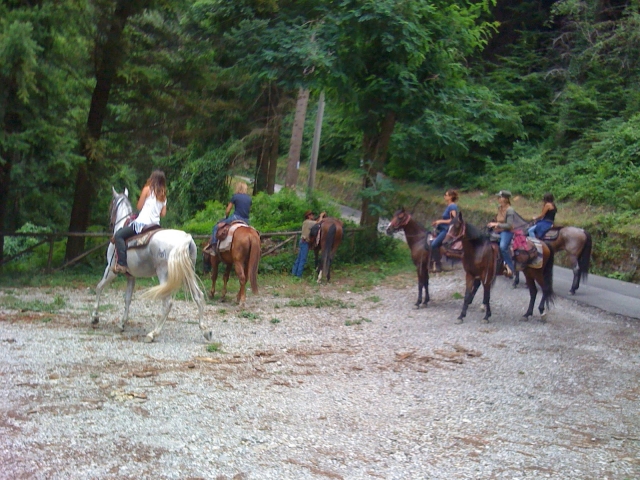  享受与大自然的直接接触