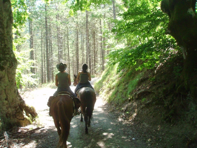  美妙的风景在等着你 