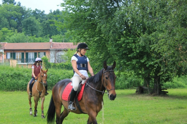  Spaziergänge in der Natur regenerieren Körper und Seele 