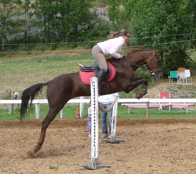  Springen Sie mit uns über Hindernisse 