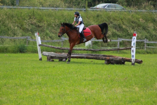  verschwenden keine Zeit mehr, besuchen Sie uns