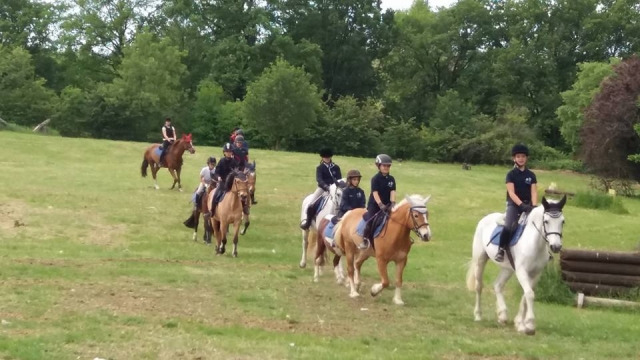  Caminhadas didáticas 