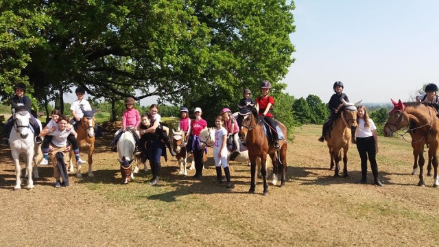  Pon Horses and Children 