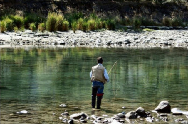 Pesca in riva al fiume