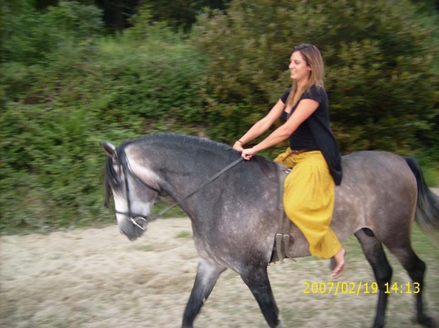 montando nossos cavalos 