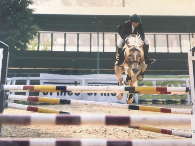  Show jumping is just waiting for you 