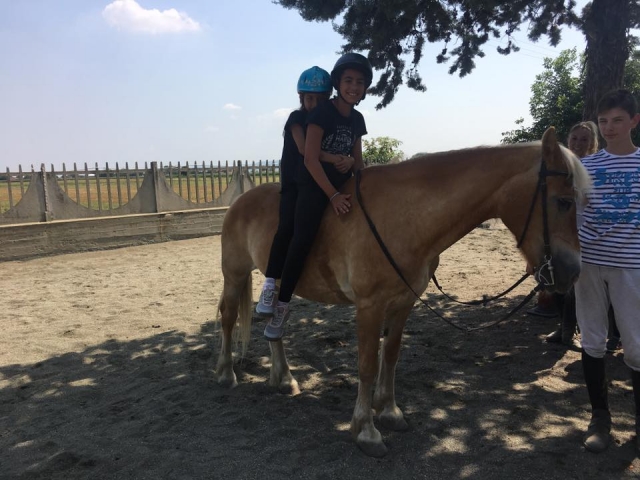  share the passion for horses with someone 