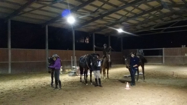  Nuestros maravillosos caballos te esperan 
