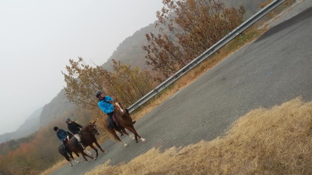  Ven y haz una caminata increíble con nuestras guías 