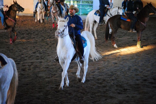  nossos esplêndidos cavalos 