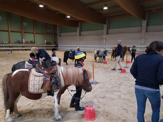  Pony club 
