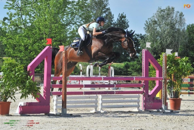  obstáculos salto 