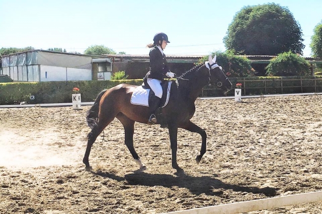 盛装舞步的方法 