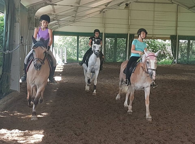  马术中心的课程 