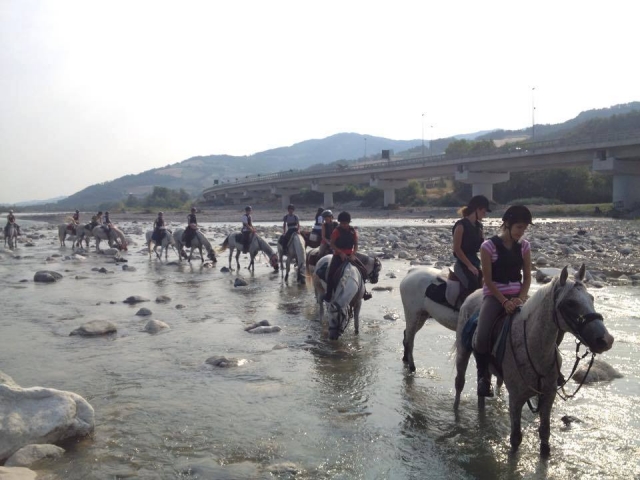  Aventura garantizada 