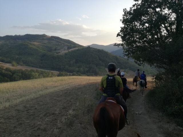  participan en nuestras caminatas 