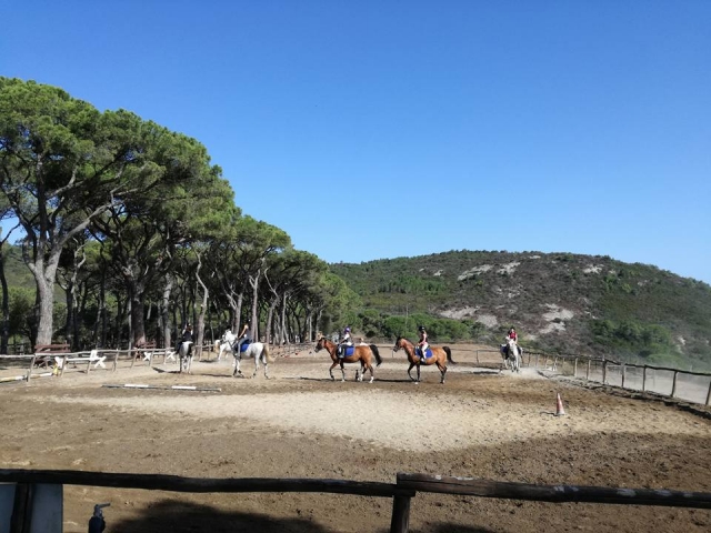  Ven y diviértete con nosotros 