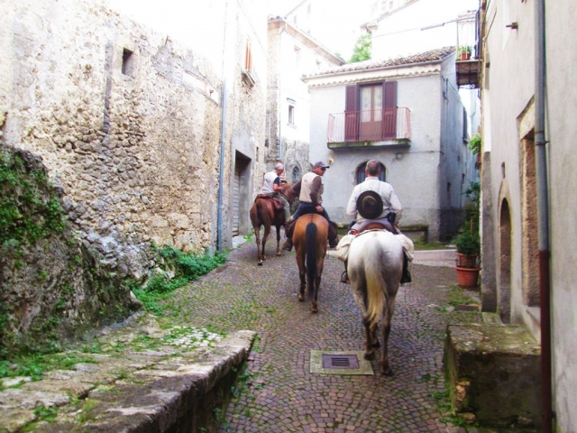 participan en nuestros caminatas 