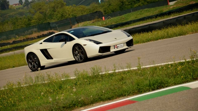 tra i cordoli e l'erba