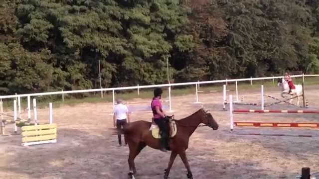  coming to prendere lezioni d'equitazione da noi! 