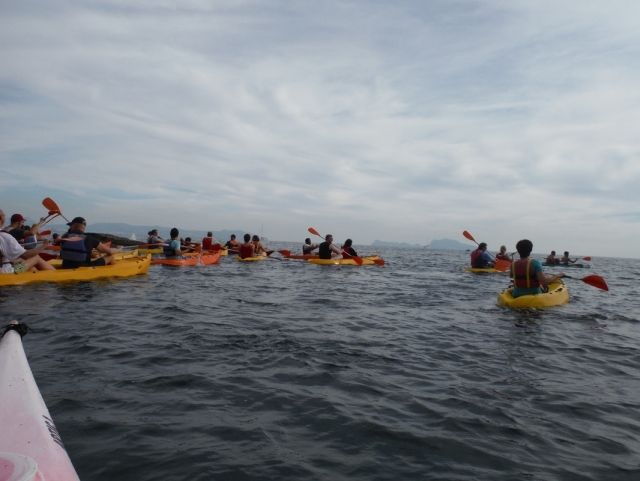 Kayak marino