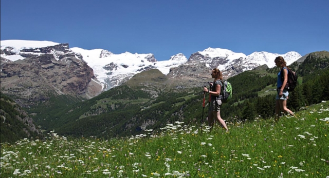  Trekking dans le vert 