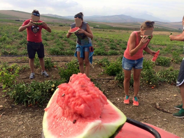 Degustazione di prodotti