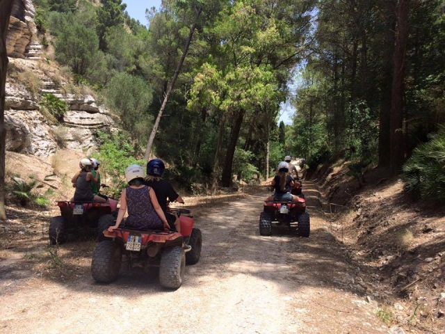  Un grupo de excursión 