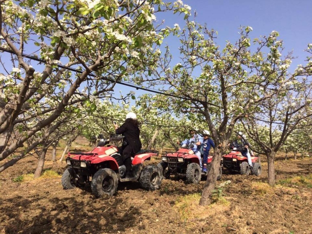  pase a través de los campos 