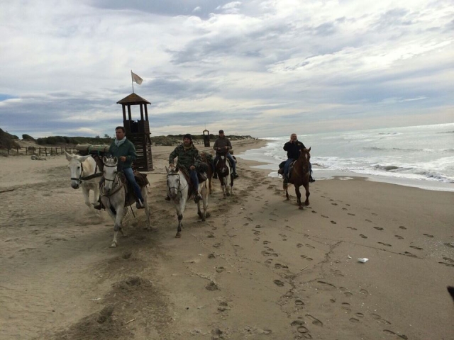 Escursione sulla spiaggia