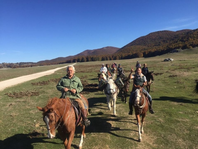 Escursioni di gruppo