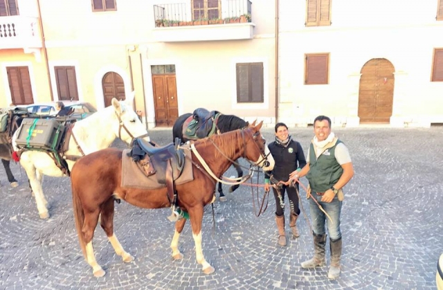 Passeggiata cittadiina