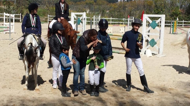  Muestras pequeñas crecen 