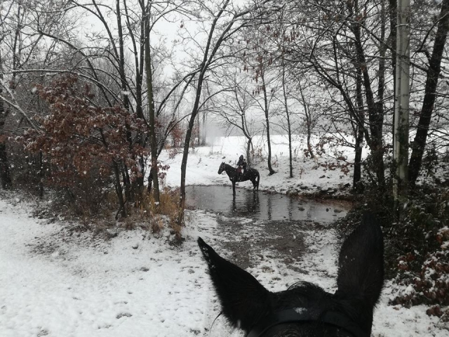  Caminhadas de inverno 