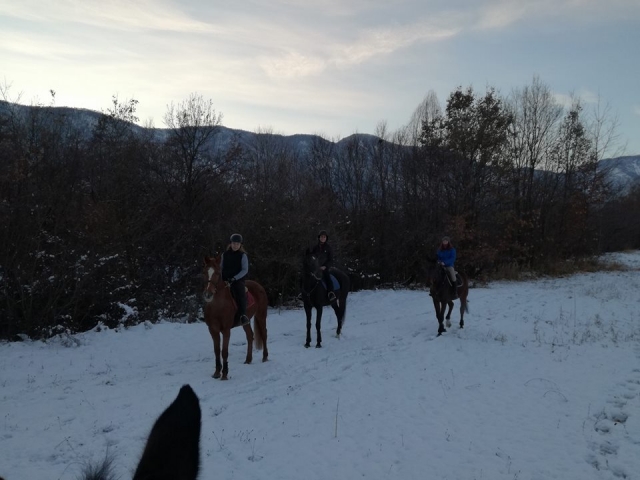  Na neve na sela 
