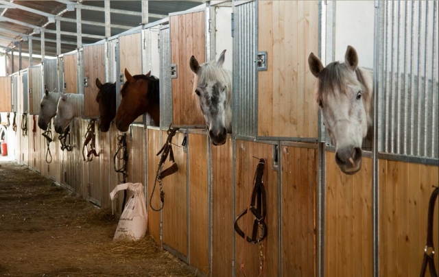  The Stables 