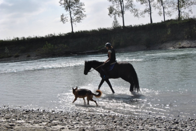 Cruzando el río 