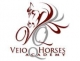Veio Quarter Horses