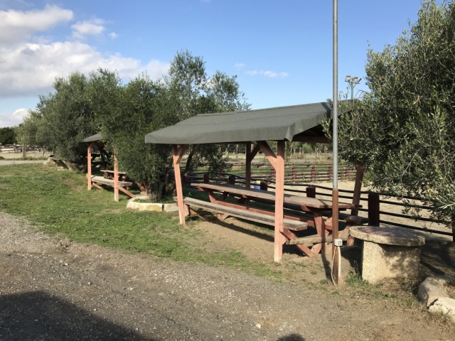 Area picnic
