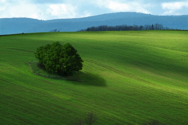 Prati meravigliosi visti dal cielo