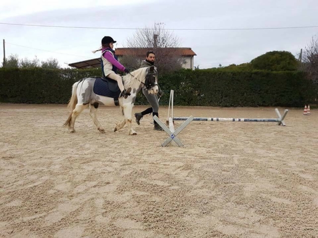  ponry 