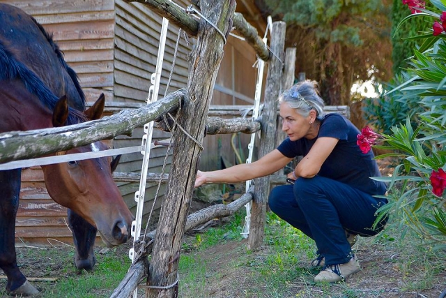 Un animale splendido