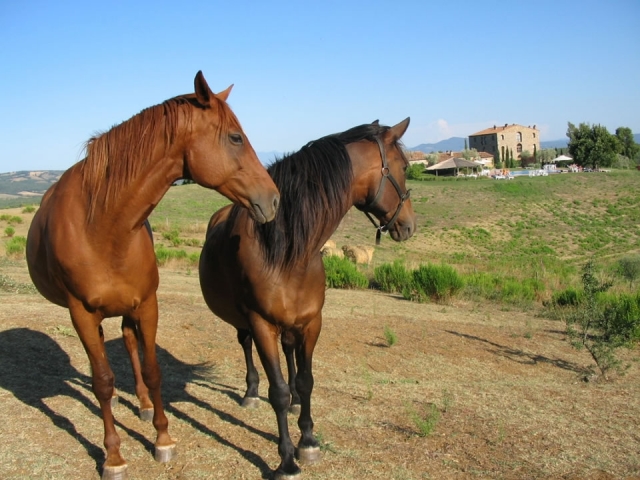 pronti per il trekking