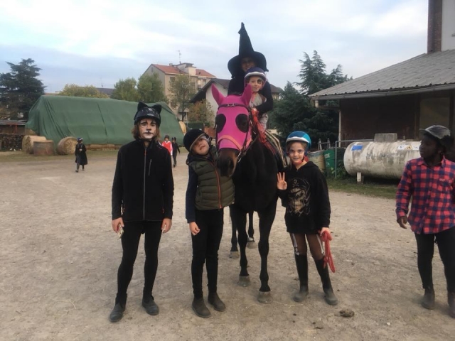 Un cavallo simpatico