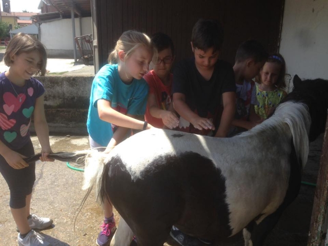 Un pony meraviglioso