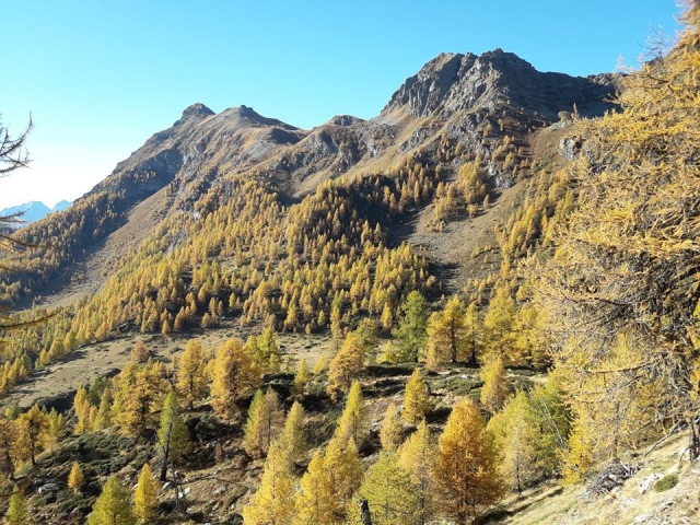  秋季我们的山谷 