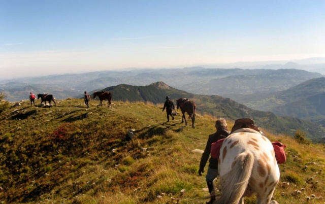  Reiten auf dem Ätna 